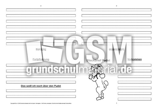 Pudel-Faltbuch-vierseitig.pdf